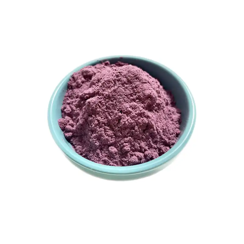 Elderberry Extract Capsules